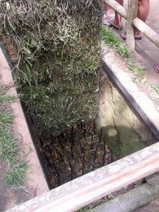 Vietnam_war_booby_traps_02