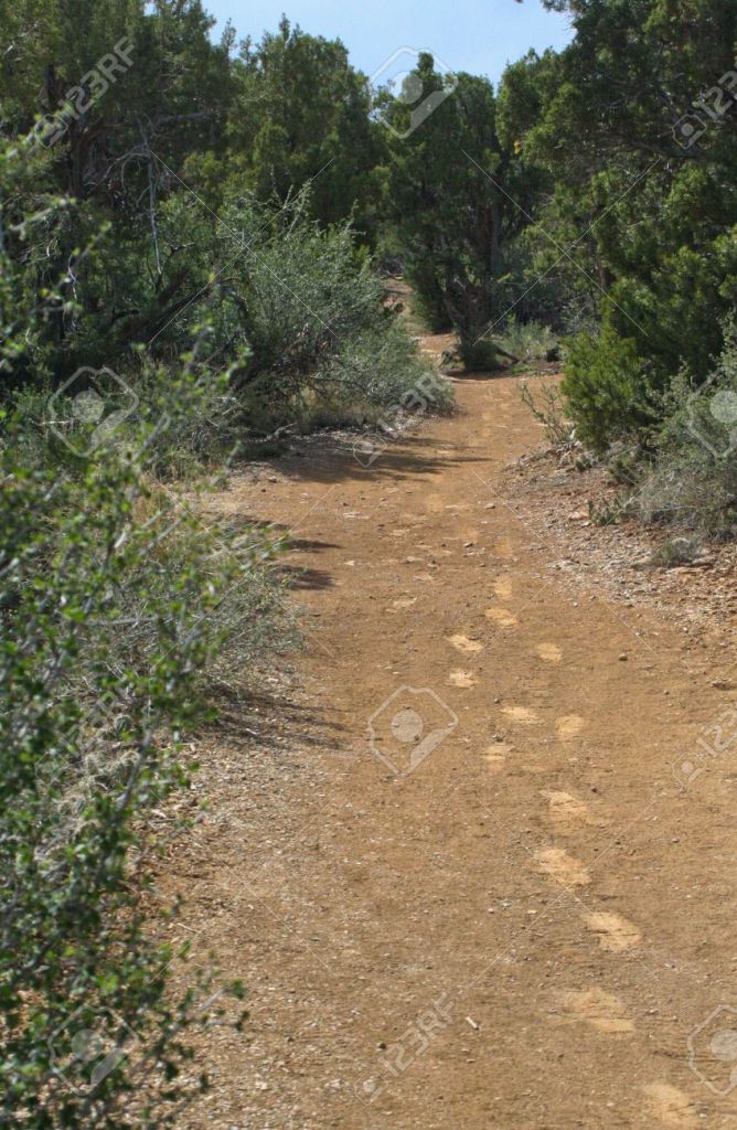 14150703-Distinct-human-footprints-on-a-winding-desert-trail-Stock-Photo
