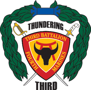 3_4_battalion_insignia