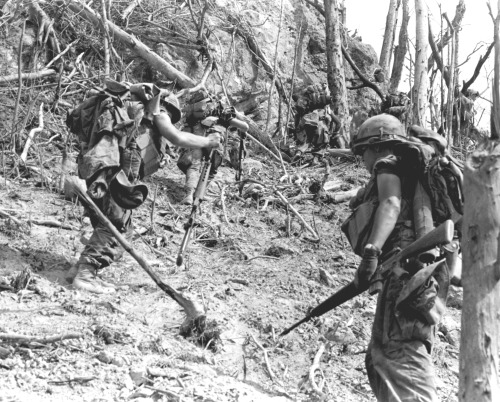 DEFENSE DEPT PHOTO (MARINE CORPS) A192685