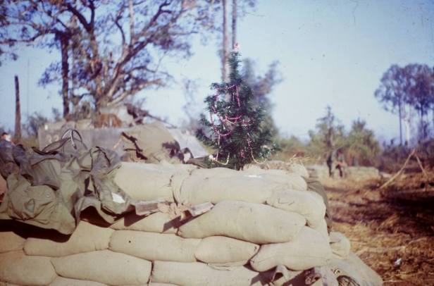 15540621_596811463860753_299933894660135646_o