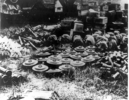 tumblr_mo1s5szwnc1qivon6o3_500