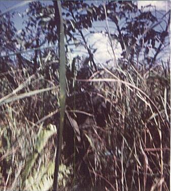 This image has an empty alt attribute; its file name is newscenter-gallery_albany4_kessinger1x1.jpg