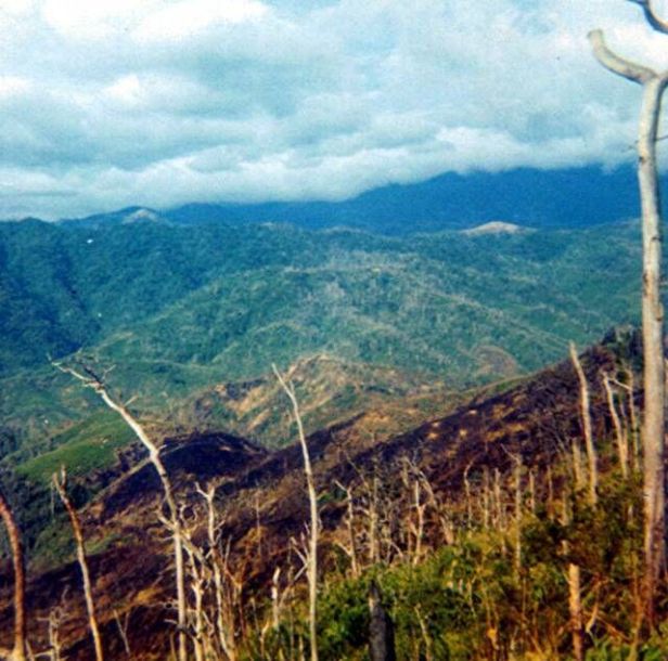 Mutter’s Ridge – CherriesWriter – Vietnam War website