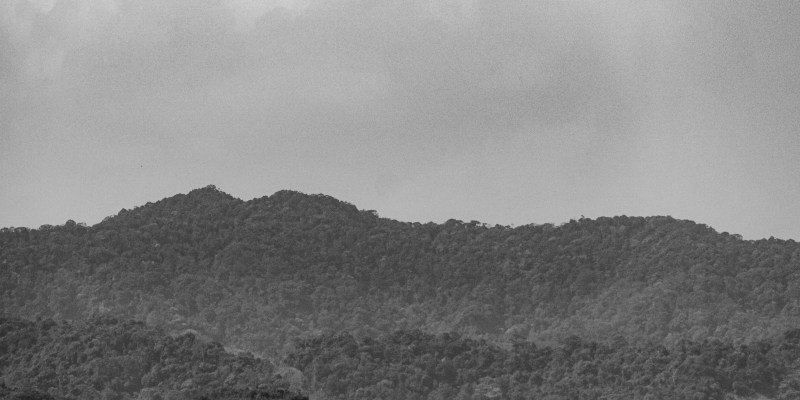 Mutter S Ridge Battles / Campaigns – CherriesWriter – Vietnam War website